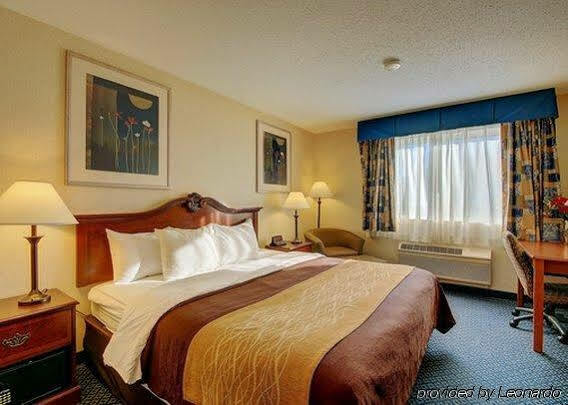 Towneplace Suites By Marriott Hadley Amherst מראה חיצוני תמונה